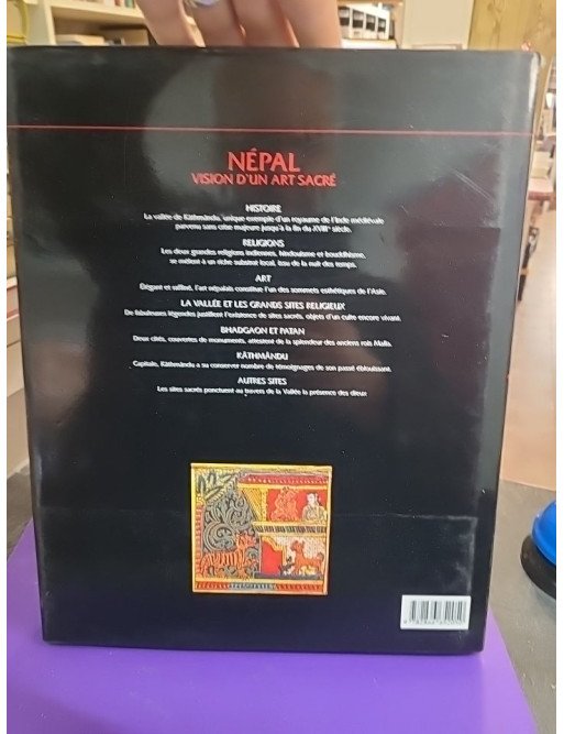 Népal, vision d'un art sacré - Gilles Béguin, Suzanne Held