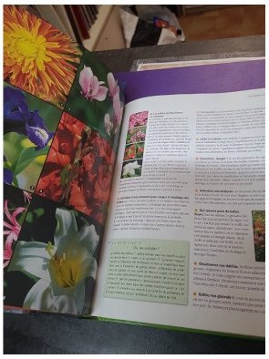 Tout savoir sur les secrets et les astuces des jardins d'autrefois – Philippe Asseray