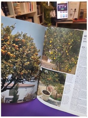 Tous les conseils pour bien choisir : Vos arbres fruitiers – Collectif