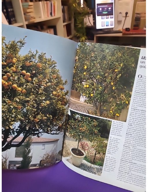 Tous les conseils pour bien choisir : Vos arbres fruitiers – Collectif