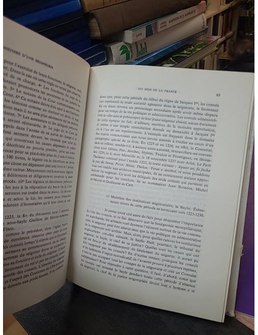 Histoire d'une seigneurie du Midi de la France – Tome 2 – Jean Baumel