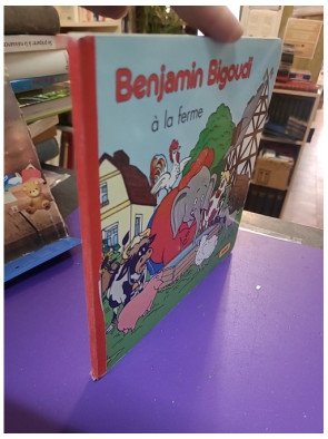 Benjamin Bigoudi à la ferme