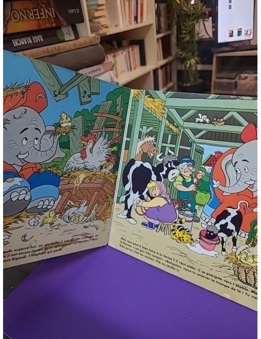 Benjamin Bigoudi à la ferme