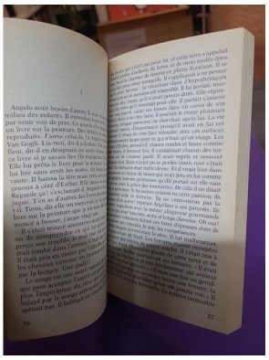 Grâce et dénuement - Alice Ferney