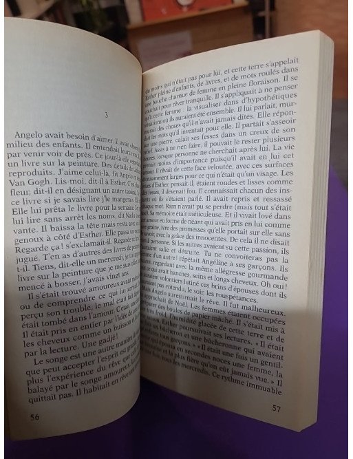 Grâce et dénuement - Alice Ferney