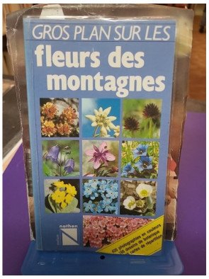 Gros plan sur les fleurs des montagnes - Wolfgang Lippert