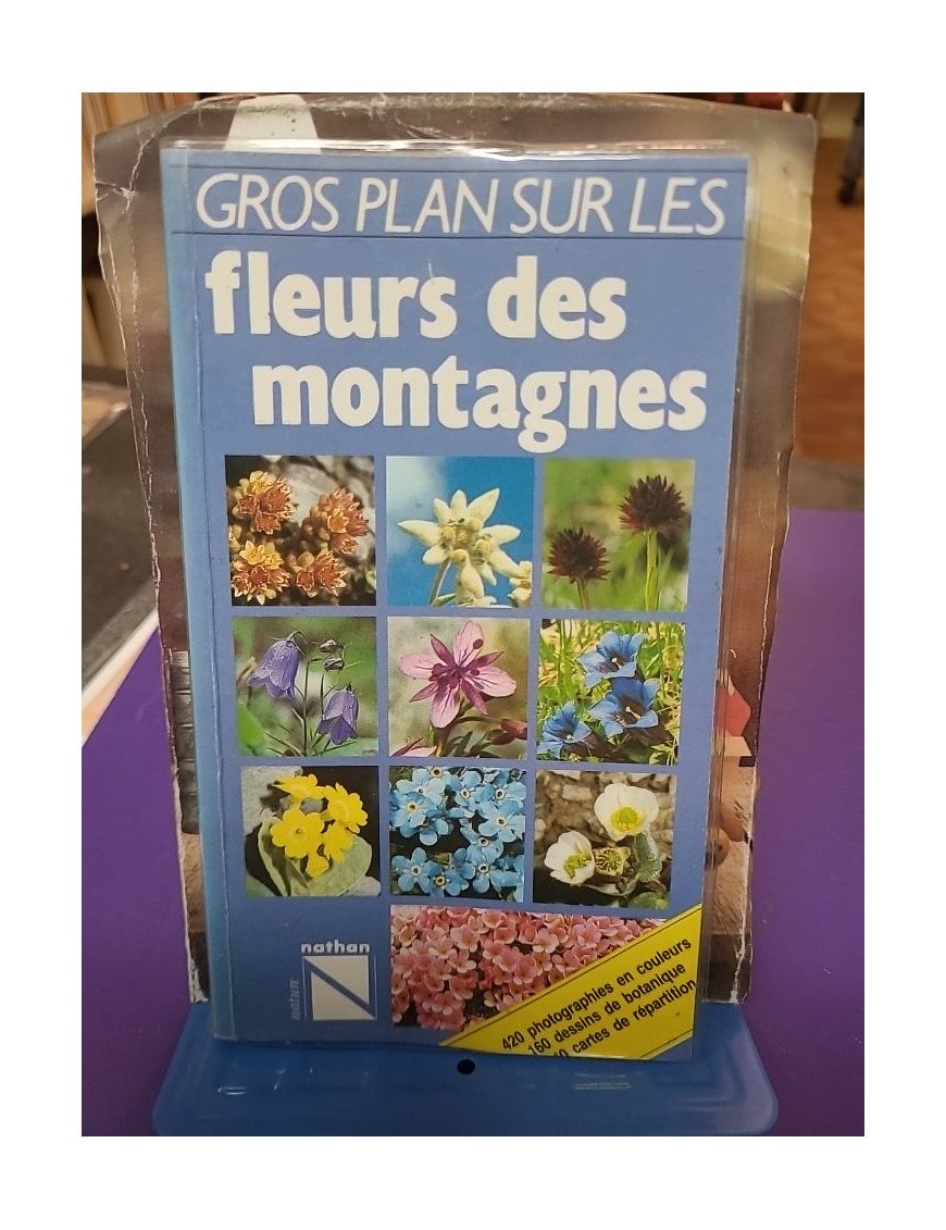 Gros plan sur les fleurs des montagnes - Wolfgang Lippert