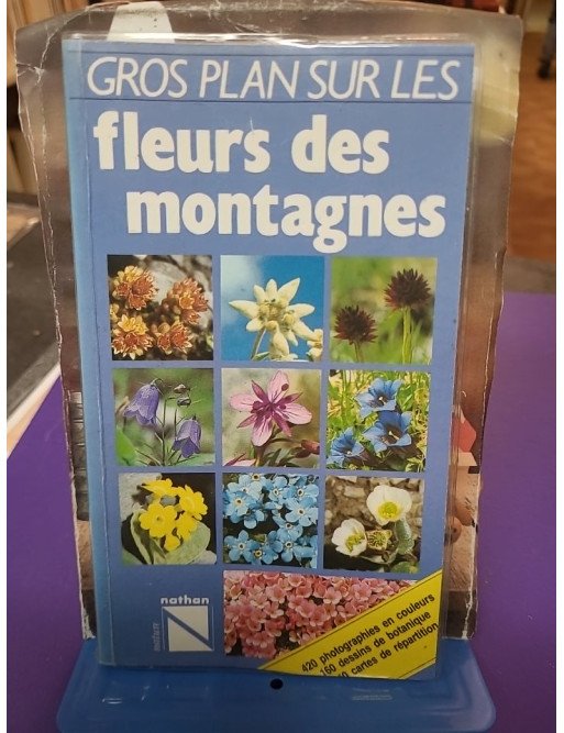 Gros plan sur les fleurs des montagnes - Wolfgang Lippert