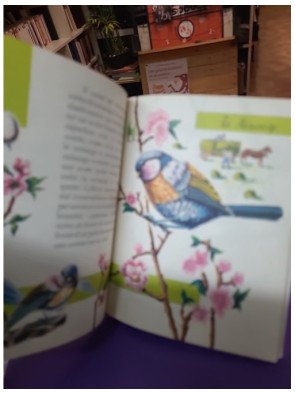 Les Oiseaux des bois et des champs - Marandin J. F.