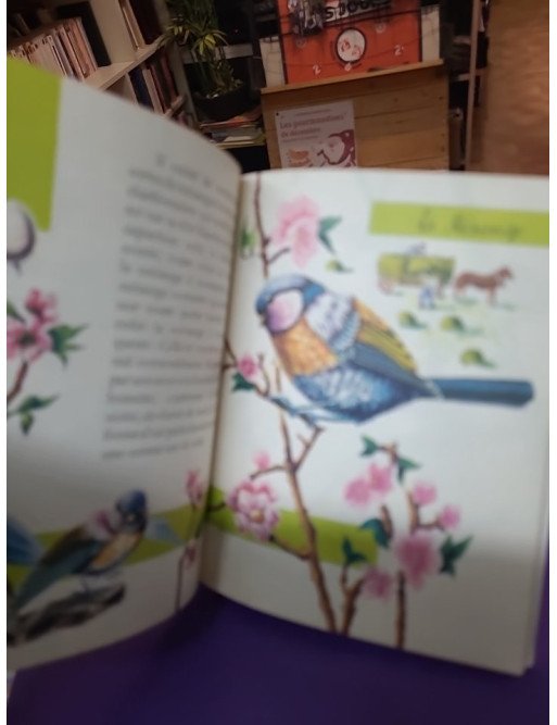 Les Oiseaux des bois et des champs - Marandin J. F.