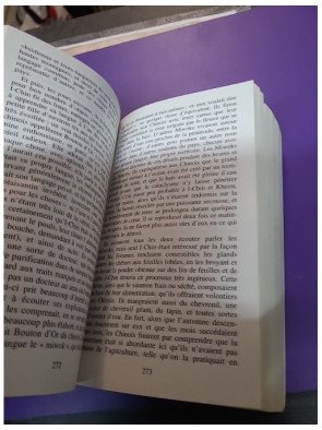 Chroniques des années noires – Kim Stanley Robinson