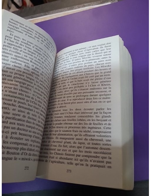 Chroniques des années noires – Kim Stanley Robinson