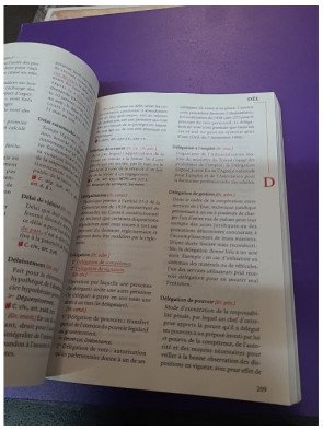 Lexique des termes juridiques 2005