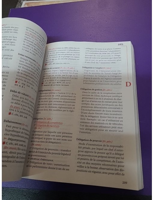 Lexique des termes juridiques 2005