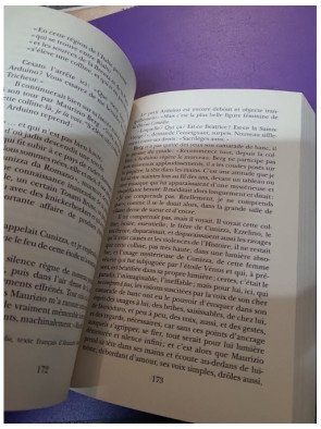 De Venise à Venise par P. M. Pasinetti (Liana Levi, 2019)