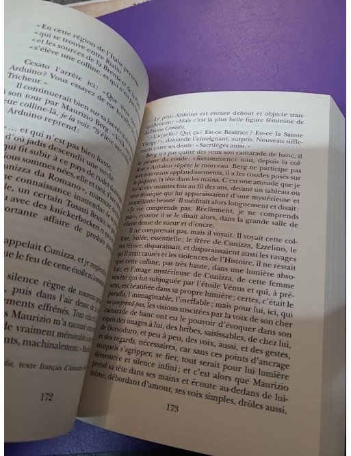 De Venise à Venise par P. M. Pasinetti (Liana Levi, 2019)