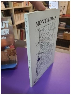 Notice historique sur Montélimar (Drôme) - Abel Vincent