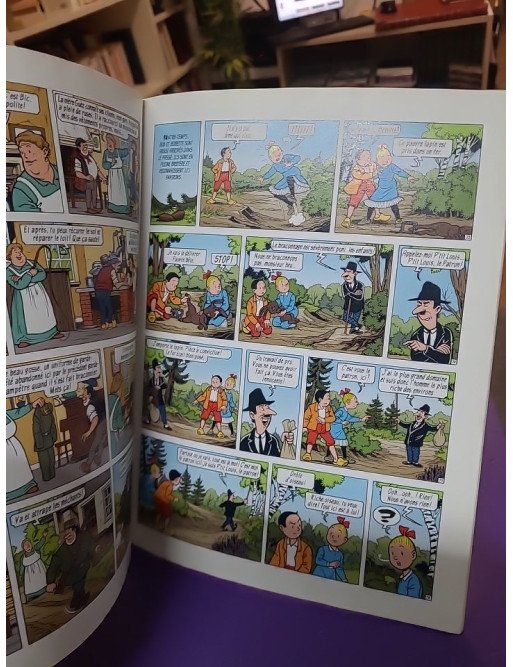 Le fantasque fantastique - Marc Verhaegen