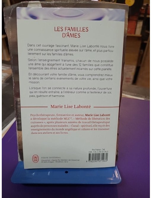 Les familles d'âmes - Selon les enseignements des Anges Xedah et de l'Archange Michaël - Marie-Lise Labonté