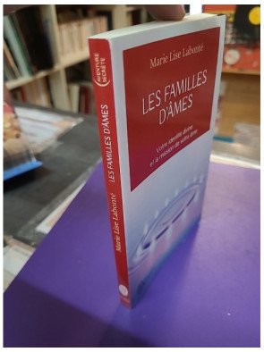 Les familles d'âmes - Selon les enseignements des Anges Xedah et de l'Archange Michaël - Marie-Lise Labonté