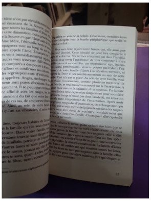 Les familles d'âmes - Selon les enseignements des Anges Xedah et de l'Archange Michaël - Marie-Lise Labonté