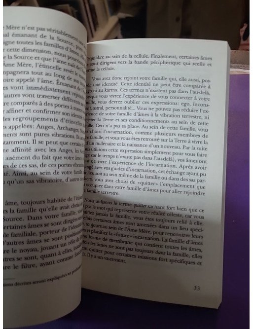 Les familles d'âmes - Selon les enseignements des Anges Xedah et de l'Archange Michaël - Marie-Lise Labonté