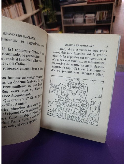 Bravo les jumeaux ! - Enid Blyton