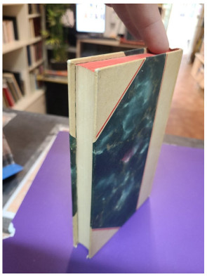 Dominique - Eugène Fromentin