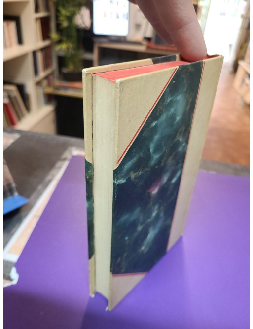 Dominique - Eugène Fromentin