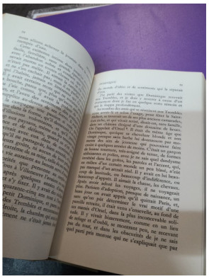 Dominique - Eugène Fromentin