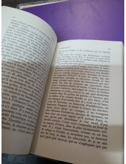 Dominique - Eugène Fromentin