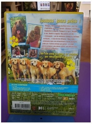 5 Toutous Prêts À Tout! (DVD)