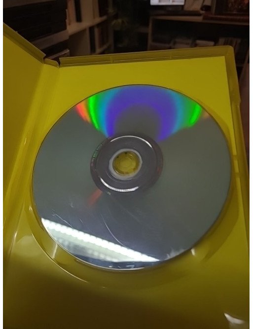 5 Toutous Prêts À Tout! (DVD)