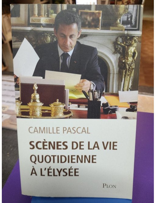 Scènes de la vie quotidienne à l'Elysée