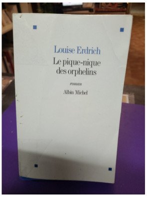 Le Pique-nique des orphelins