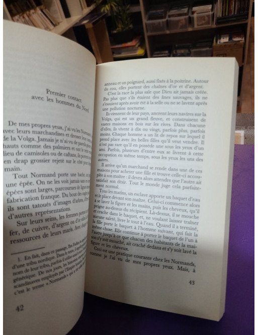 Le Treizième guerrier