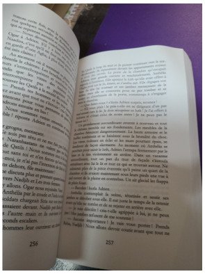 La dernière bataille tome 2 - La dernière prophétie