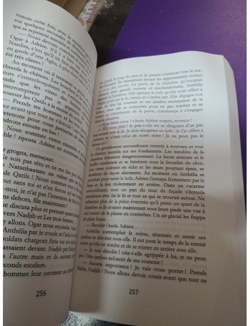 La dernière bataille tome 2 - La dernière prophétie