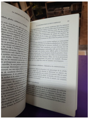 La Diététique du cerveau, de l'intelligence et du plaisir