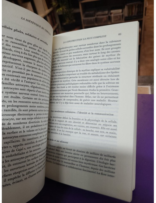 La Diététique du cerveau, de l'intelligence et du plaisir