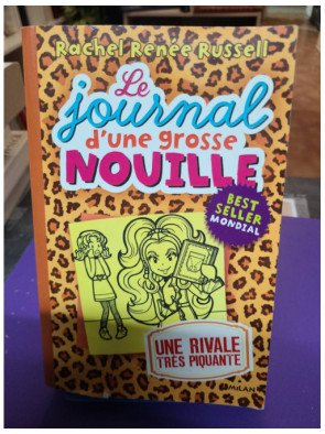 Le journal d'une grosse nouille, Tome 09 - Une rivale très piquante