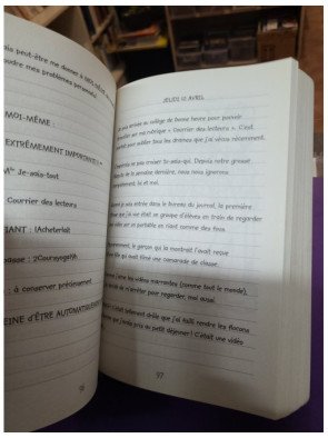 Le journal d'une grosse nouille, Tome 09 - Une rivale très piquante