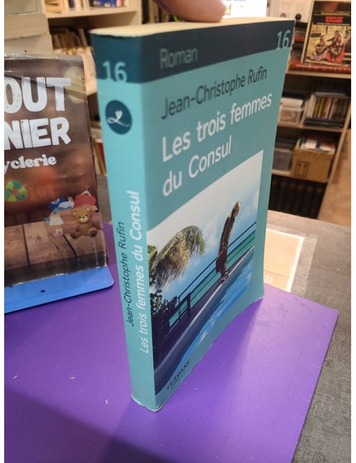 A la Belle Marquise par Gérard Georges (Editions Feryane, 2018)