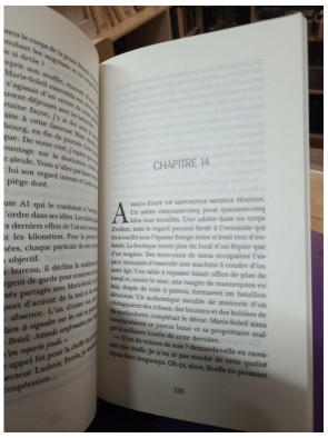 Odette et le taxi jaune par Isabelle Artus (Charleston, 2022)