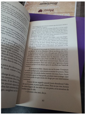 L'empire Brisé - Tome 1 : Le Prince Écorché