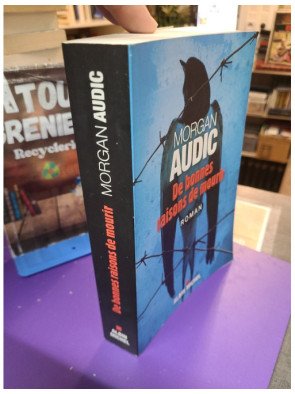 De bonnes raisons de mourir