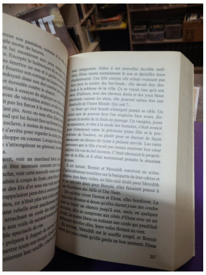 Journal d'un vampire - Tome 4 - Le royaume des ombres