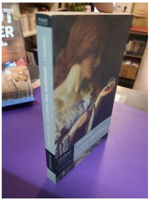Livre des Mediums (le)