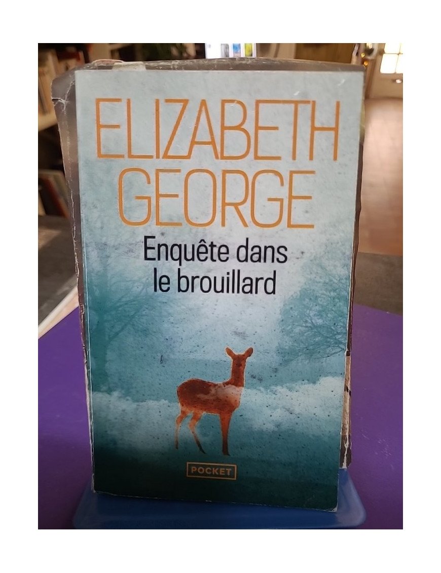 Enquête dans le brouillard – Elizabeth George
