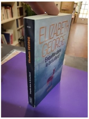 Enquête dans le brouillard – Elizabeth George